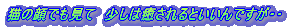 L̊łā@͖ƂłEE